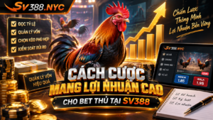 Cách cược mang lợi nhuận cao cho bet thủ tại SV388