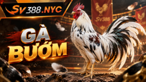Gà bướm SV388